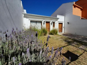 Los Paraisos house Tres Cerritos